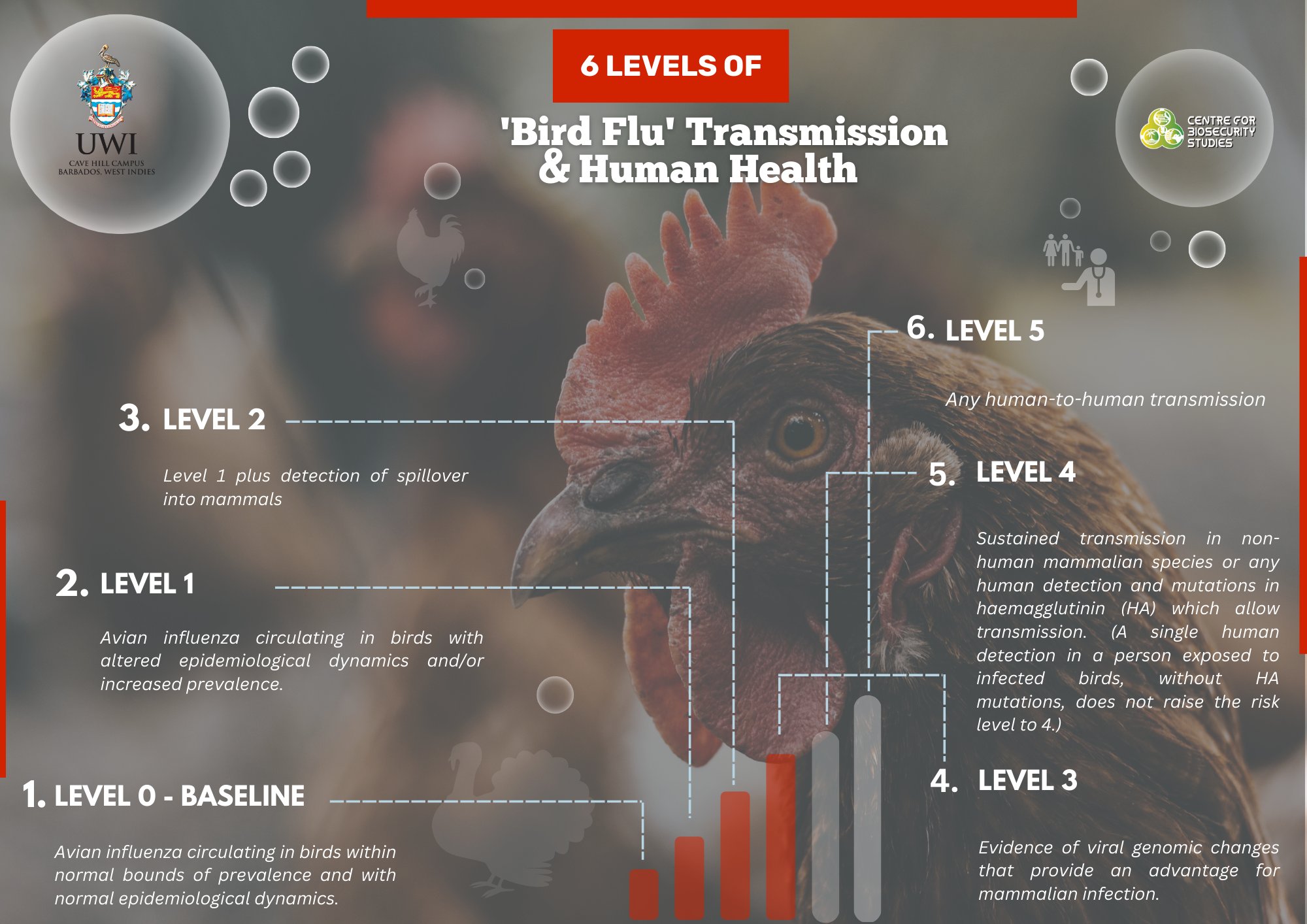 Zes niveau's van overdracht van vogelgriep virus