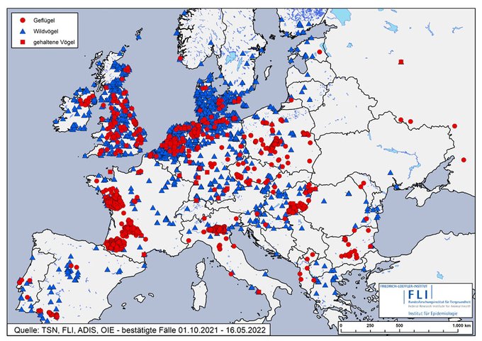Kaart vogelgriep west europa H5N1