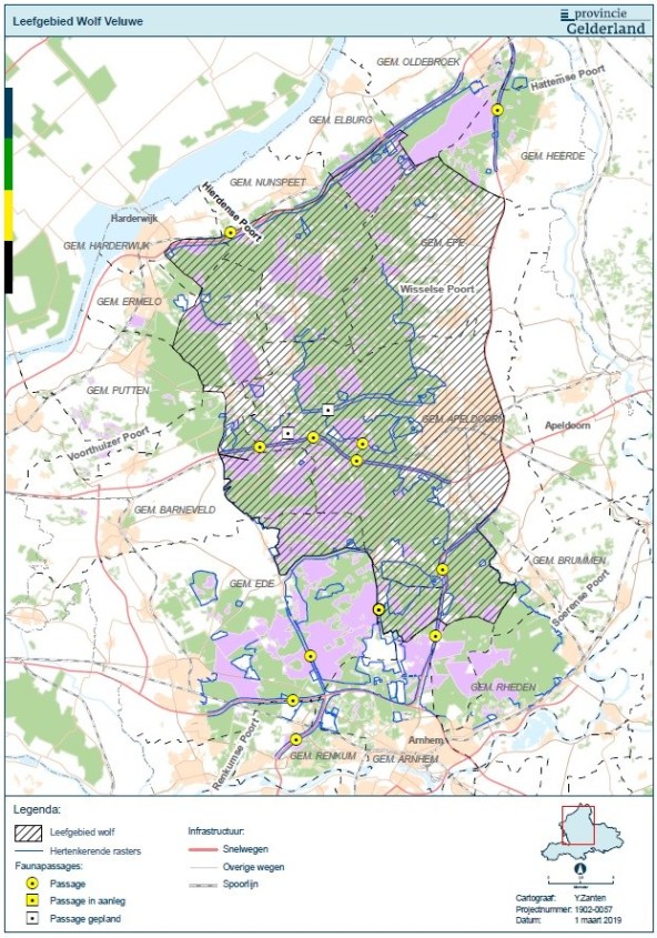 Leefgebied wolf Gelderland