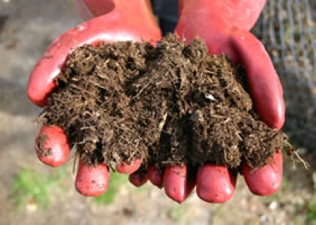 Onkruidvrije compost uit paardenmest